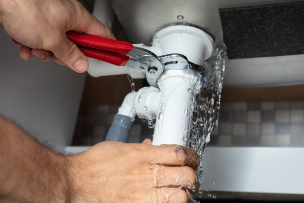 Best Water damage contractors near me  in Navajo, NM